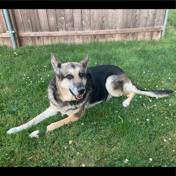 Meet your posher, Jen - Picture 4 of 4